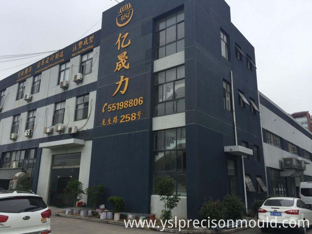 High Quality Molding Parts with Polishing Surface